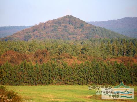 대표시청각 이미지