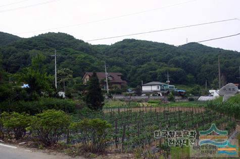 대표시청각 이미지