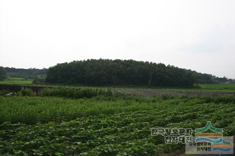 대표시청각 이미지