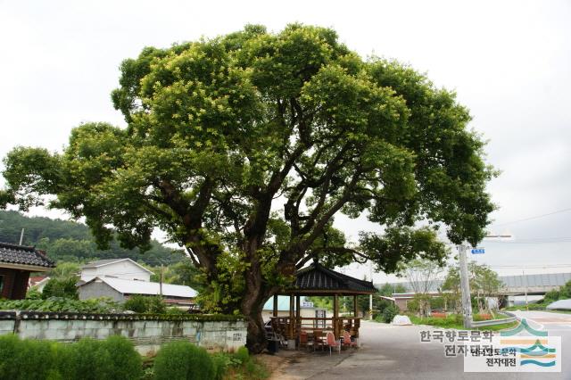 대표시청각 이미지