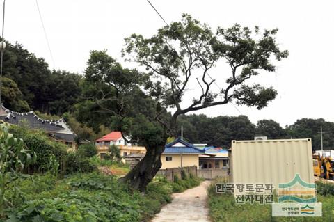 대표시청각 이미지