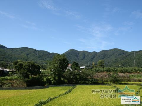 대표시청각 이미지