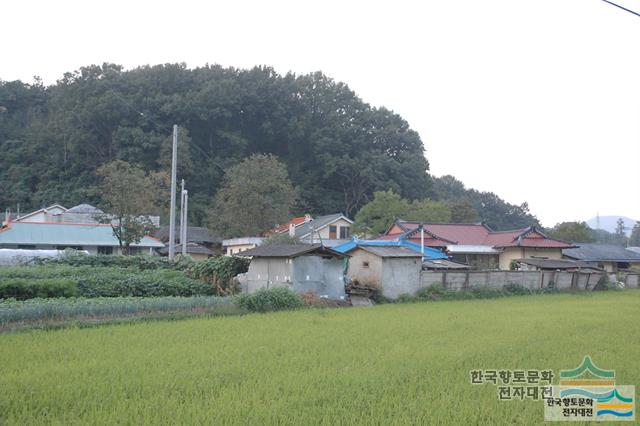 대표시청각 이미지