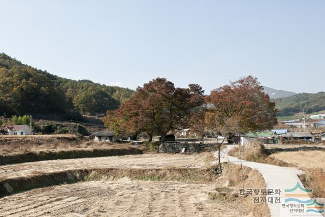 대표시청각 이미지