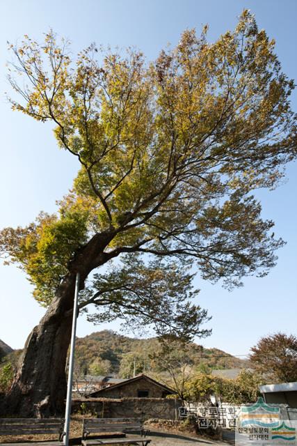 대표시청각 이미지