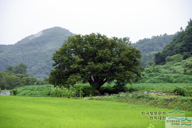 대표시청각 이미지