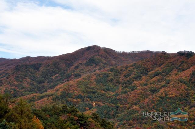 대표시청각 이미지