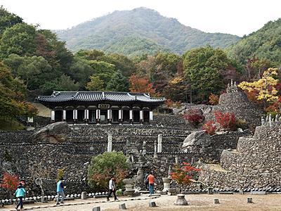 삼성궁 썸네일 이미지