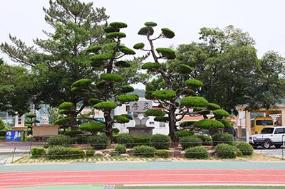 진교초등학교 입구 상징석 썸네일 이미지