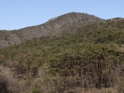 금학리 고분 썸네일 이미지