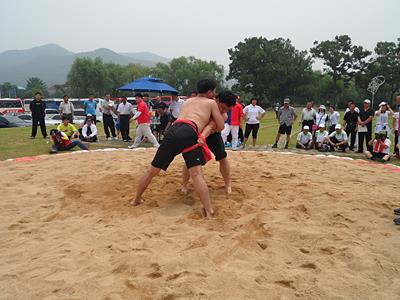 2010 제20회 충남도지사배 민속대제전 - 씨름 썸네일 이미지