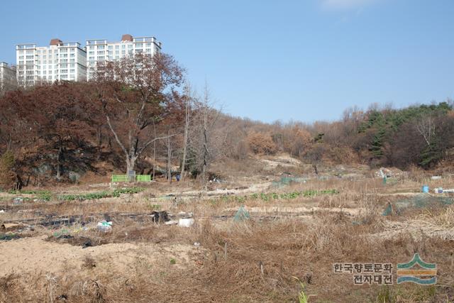 대표시청각 이미지