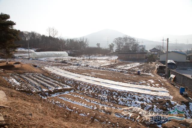 대표시청각 이미지