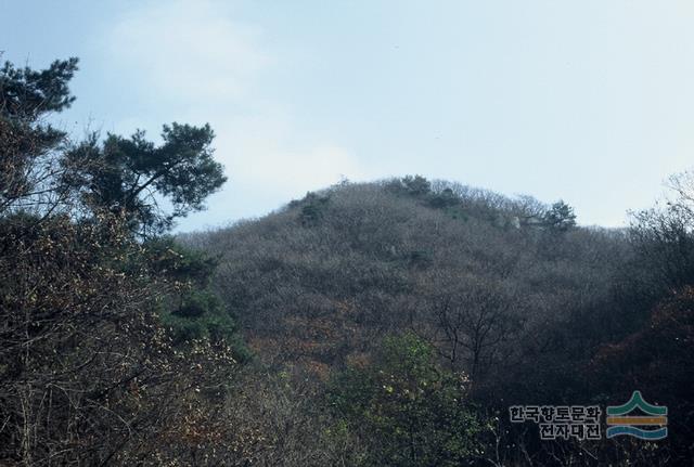 대표시청각 이미지