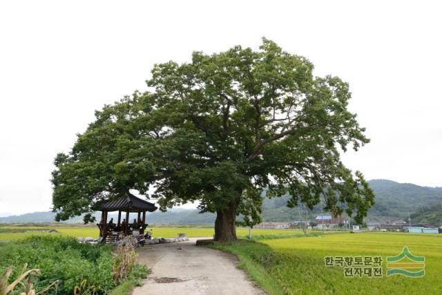 대표시청각 이미지