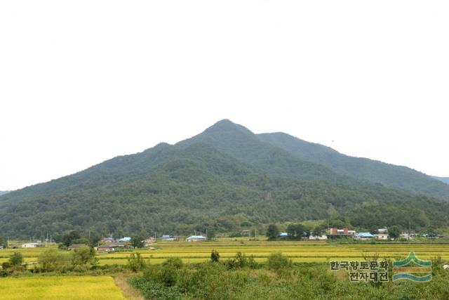 대표시청각 이미지