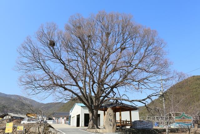 대표시청각 이미지