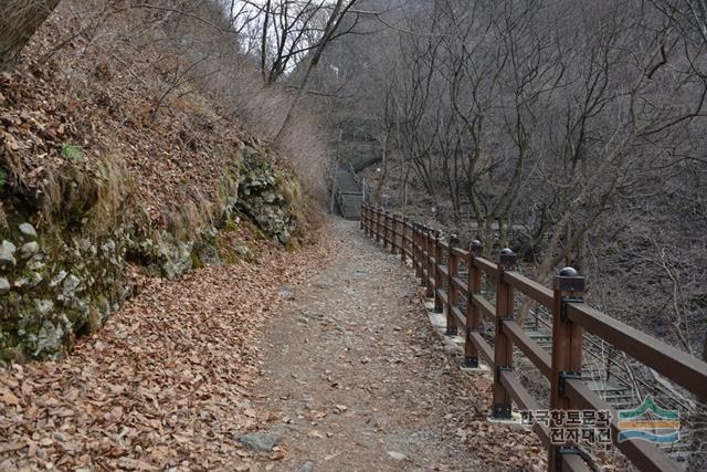 대표시청각 이미지