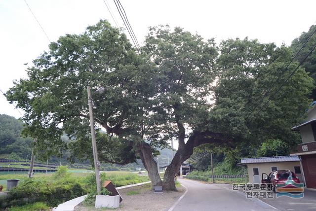 대표시청각 이미지