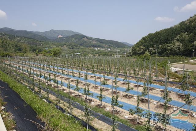 대표시청각 이미지