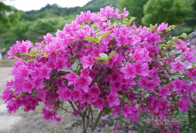 대표시청각 이미지