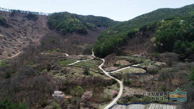 대표시청각 이미지