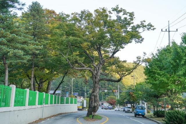 대표시청각 이미지